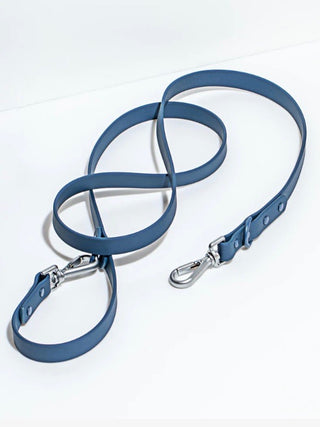 Wild One Standard Leash