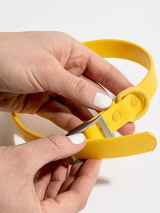 Wild One Collar