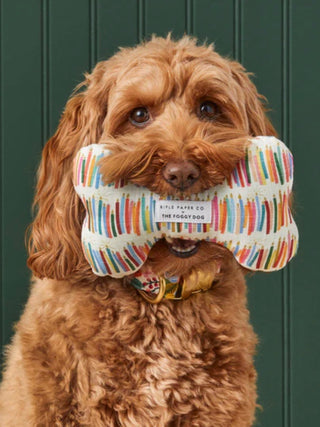 Foggy Dog Toy