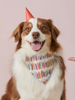 Foggy Dog Bandana