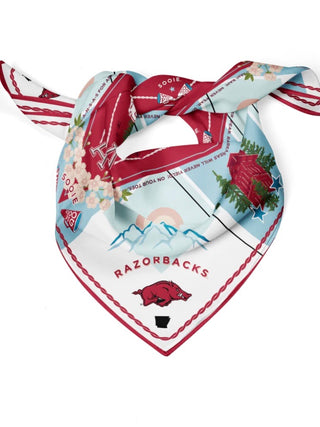 Saturday Silks Saturday Scarf