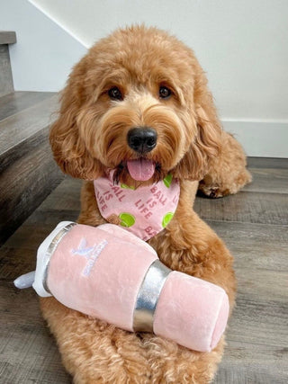 Snuggly Cup Dog Toy