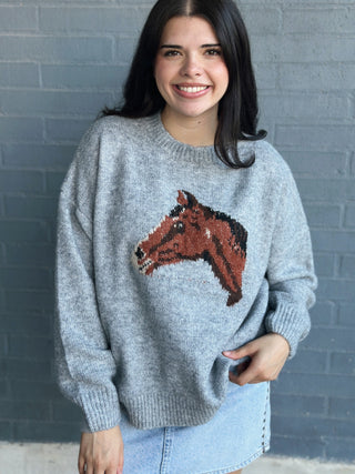 Dressage Sweater