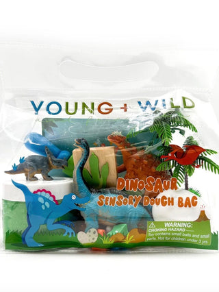 Sensory Dough Bag