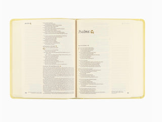 NLT Notetaking Bible :Belfast  Theme