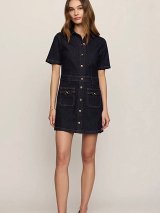 The Crush Denim Dress