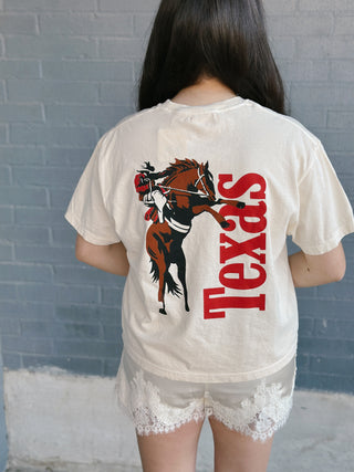 Texas Cowboy Icon Crop