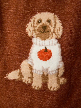 Pumpkin Doodle Sweater